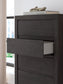Queen Panel Storage Bed with Mirrored Dresser and Chest